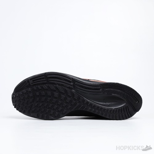 pegasus 38 marathon